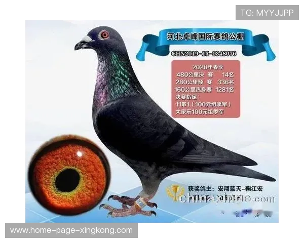 未来冠军路:谁能实现“黑马逆袭”? 未来冠军路:谁能实现“黑马逆袭”?